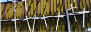 Border Fence Picture