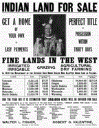 Indian Land for Sale Poster
